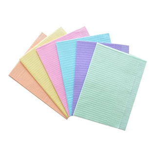 Safe-Dent 2-Ply Patient Bibs +1 Poly 13" x 18" Mint Green (500)